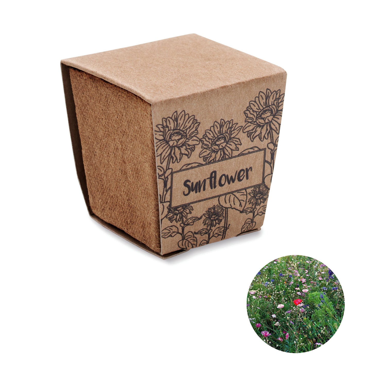 Kit De Cultivo De Girassol