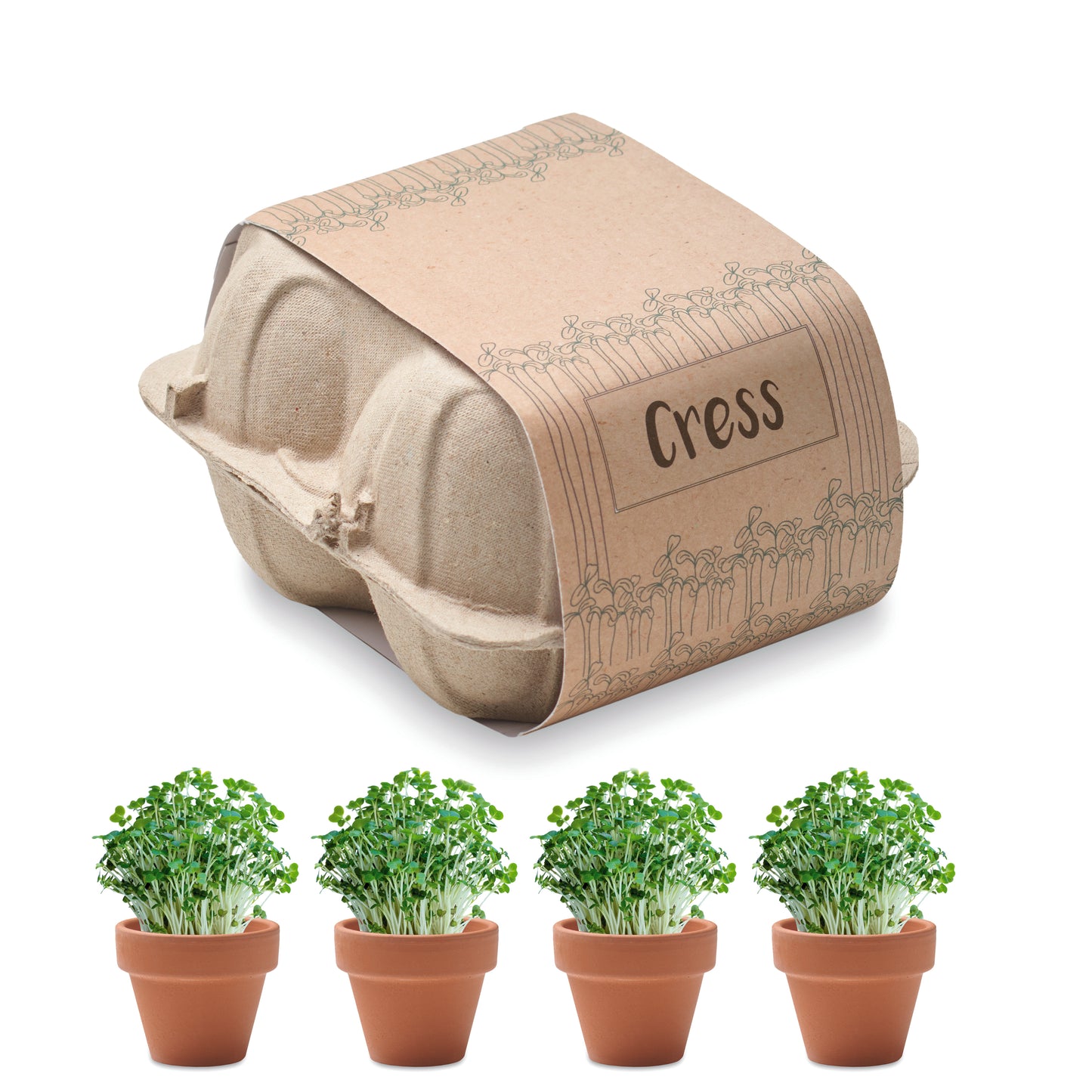 Kit De Cultivo Em Caixa De Ovo
