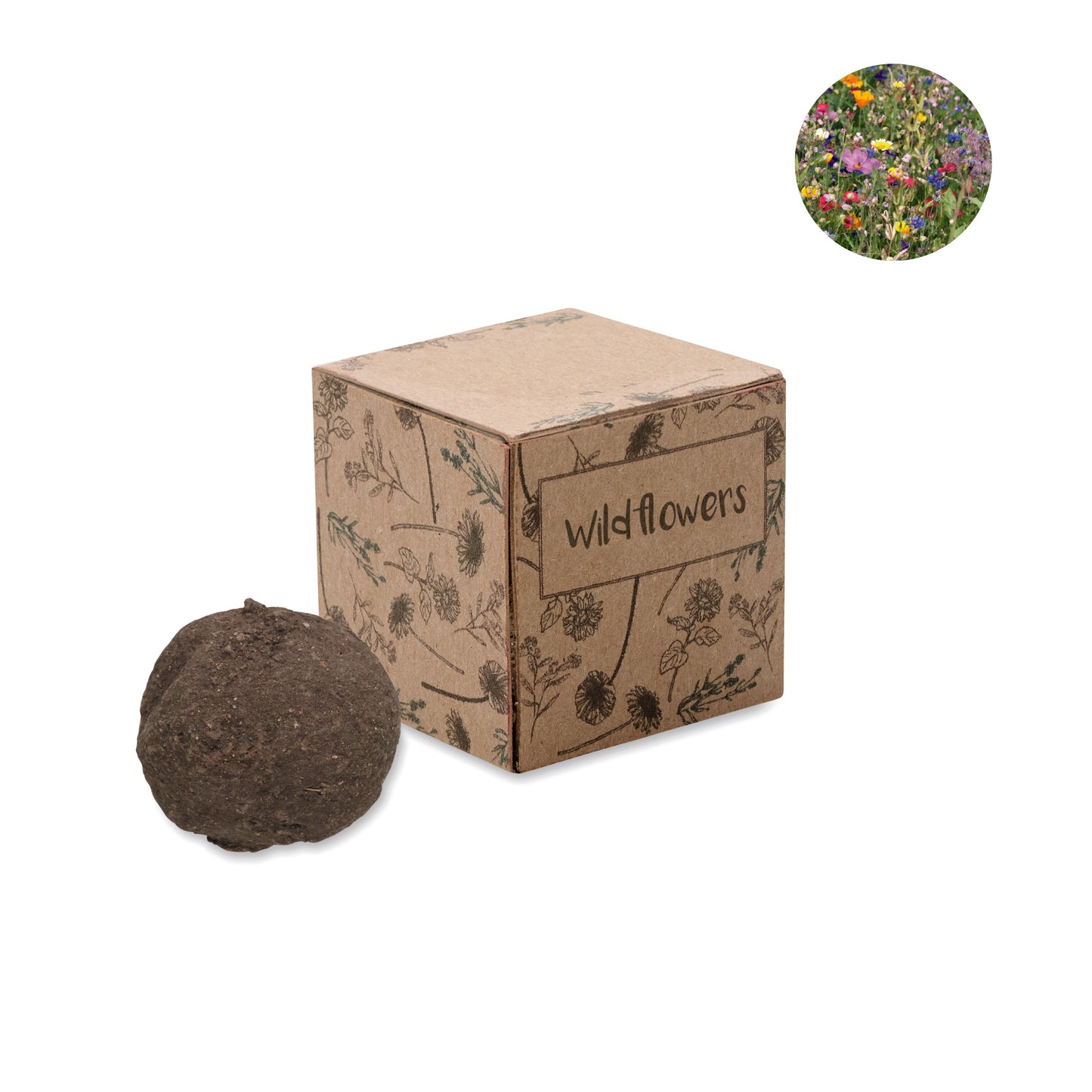 Kit Cultivo Bombas De Sementes