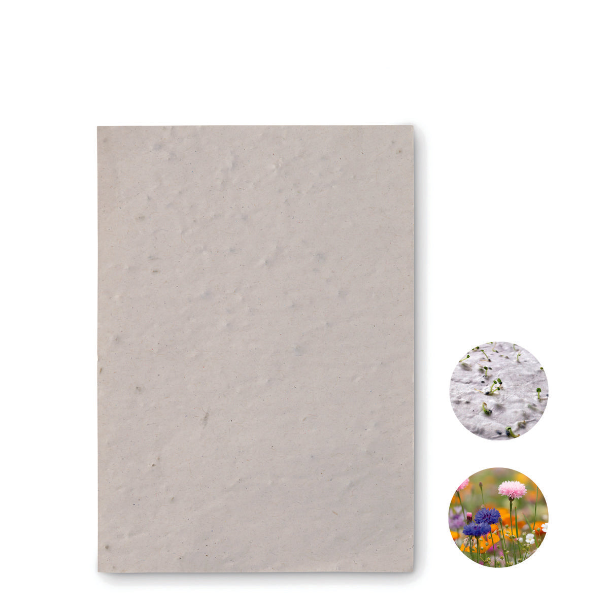 Papel Sementes De Flores A6