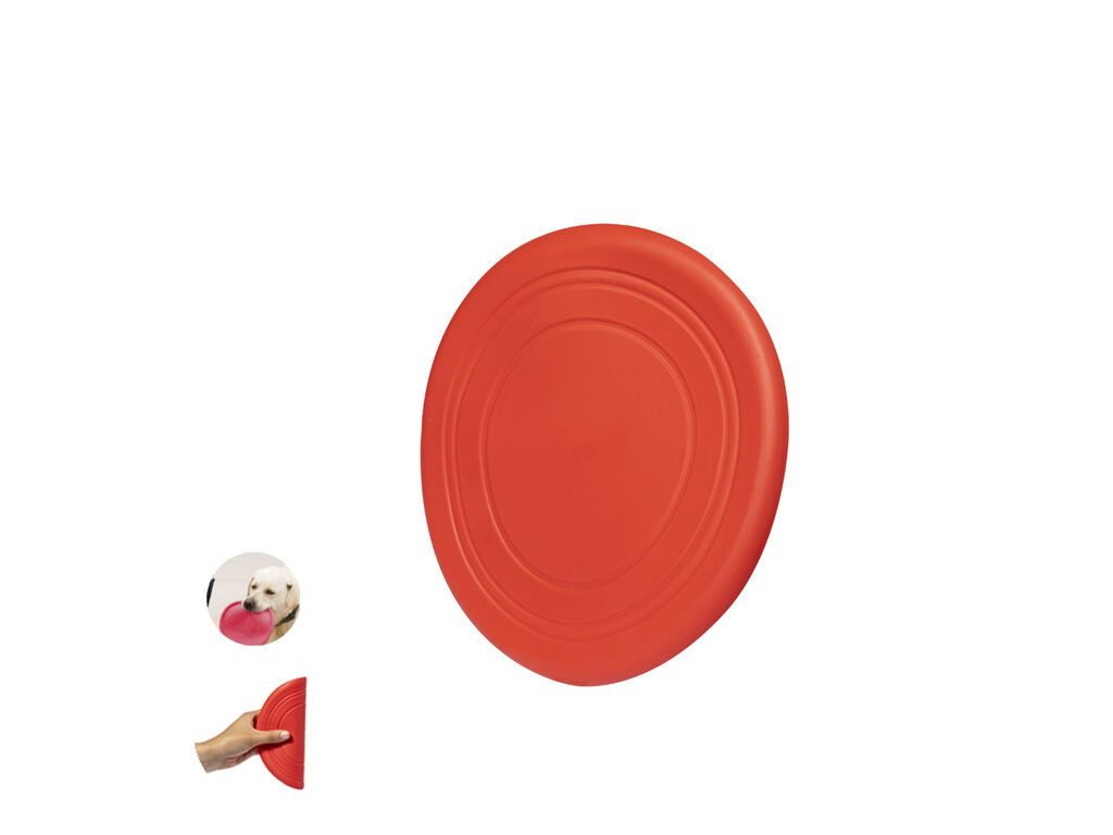 Frisbee Girud