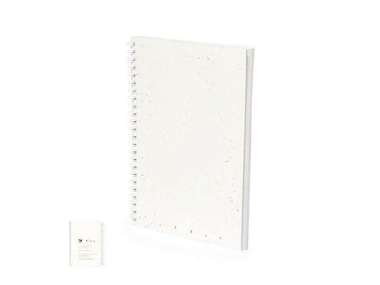 Caderno Sementes Bitar