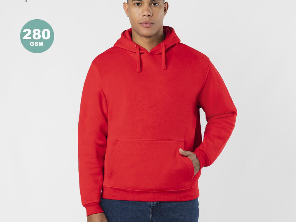 Sweatshirt Adulto Draco