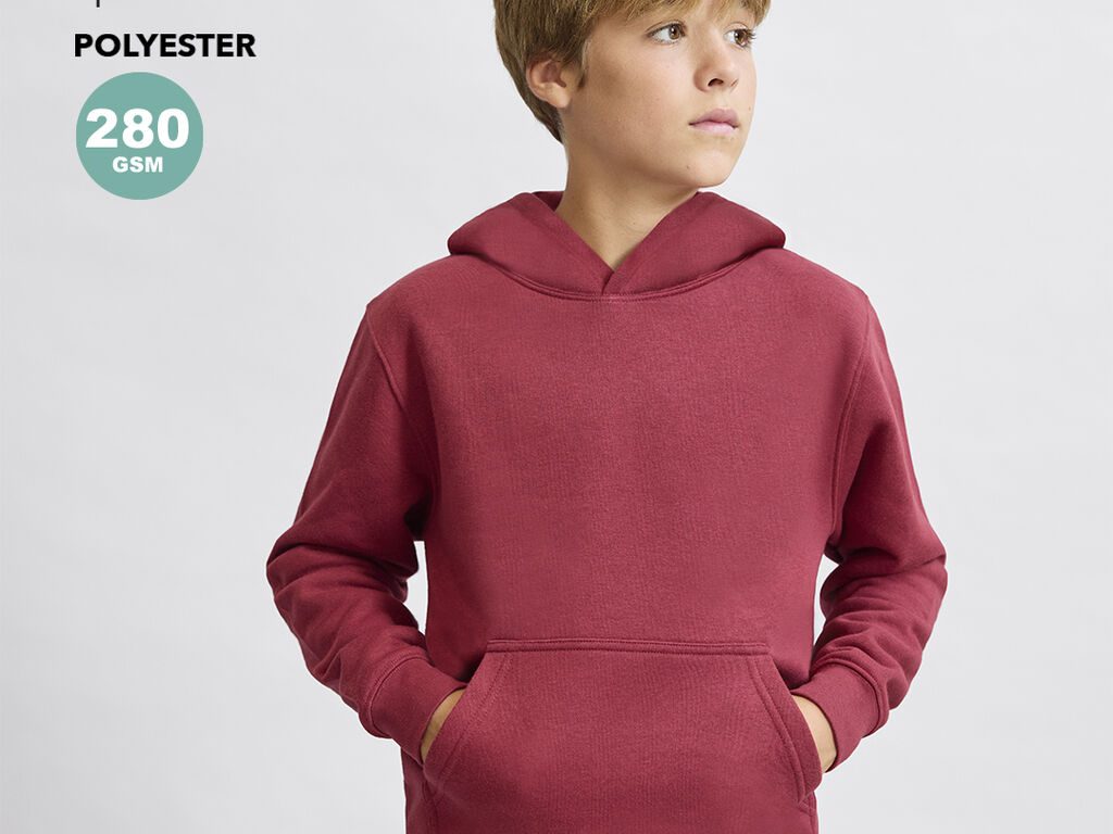 Sweatshirt Criança Draco