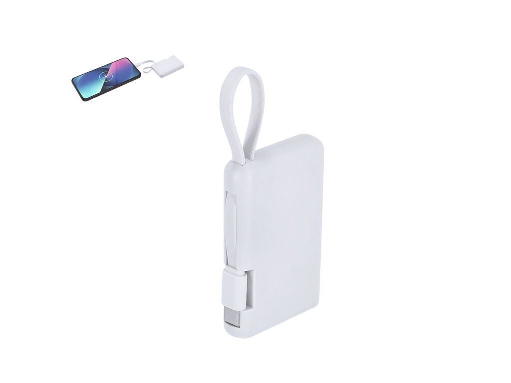 Power Bank Brandin