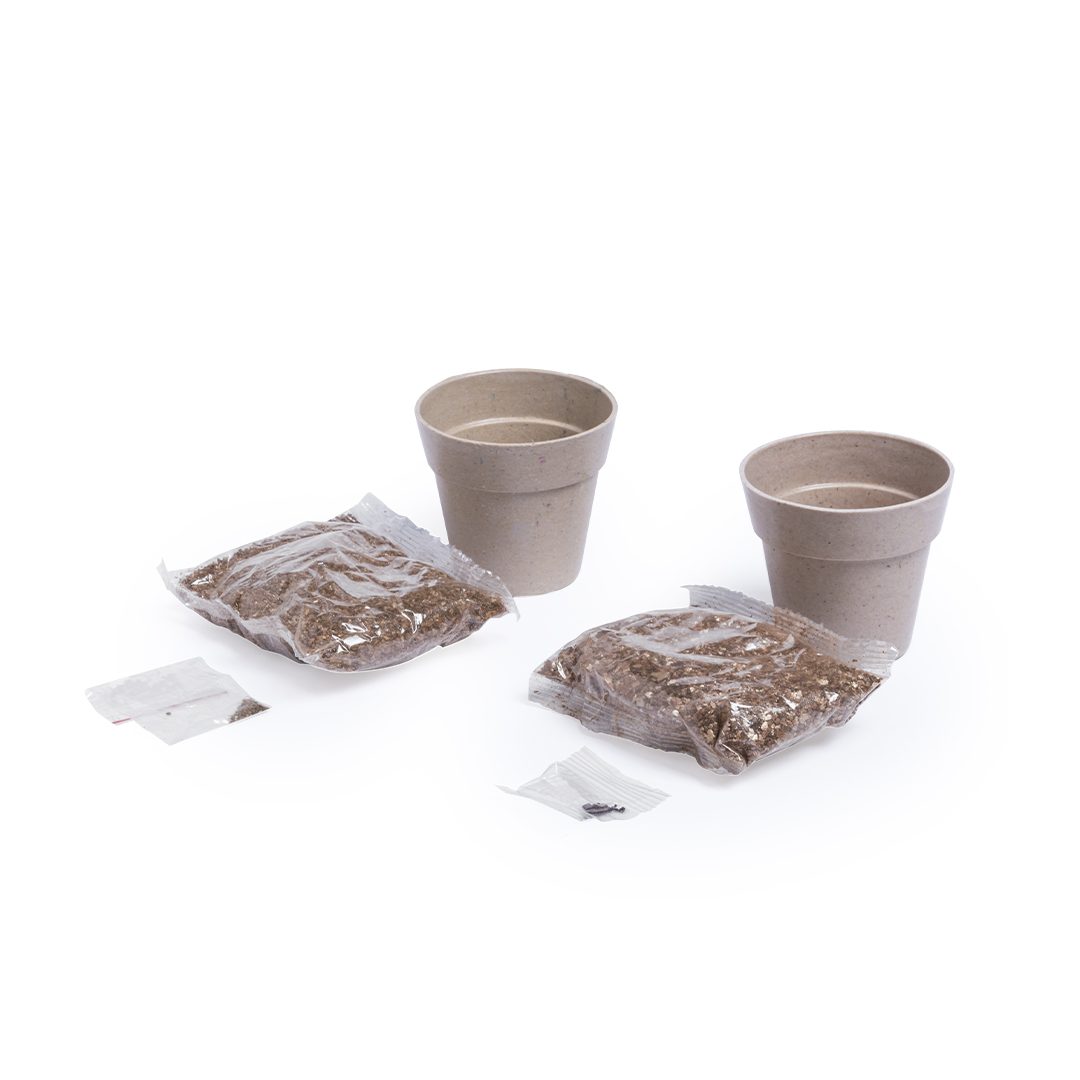 Set Vasos Nertel