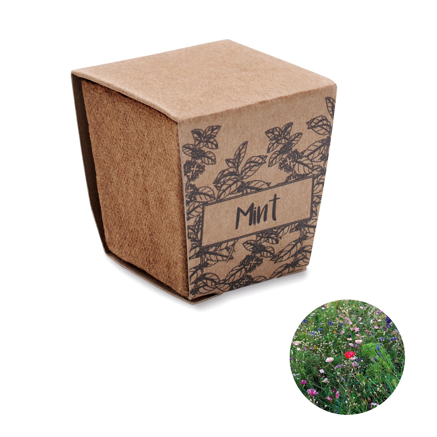 Kit Cultivo Semente De Hortelã