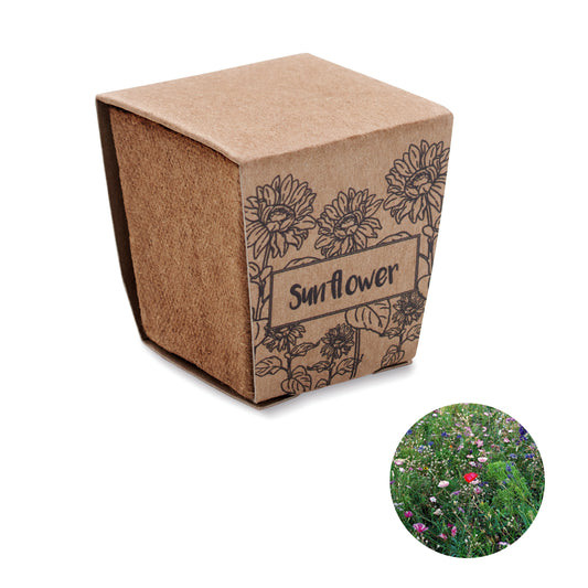 Kit De Cultivo De Girassol
