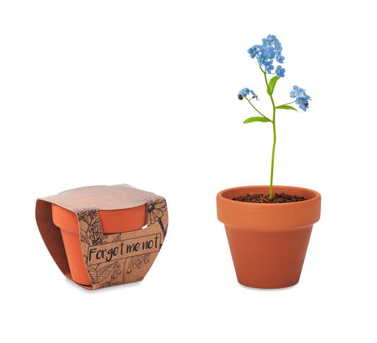 Vaso Terracota 'Miosótis'