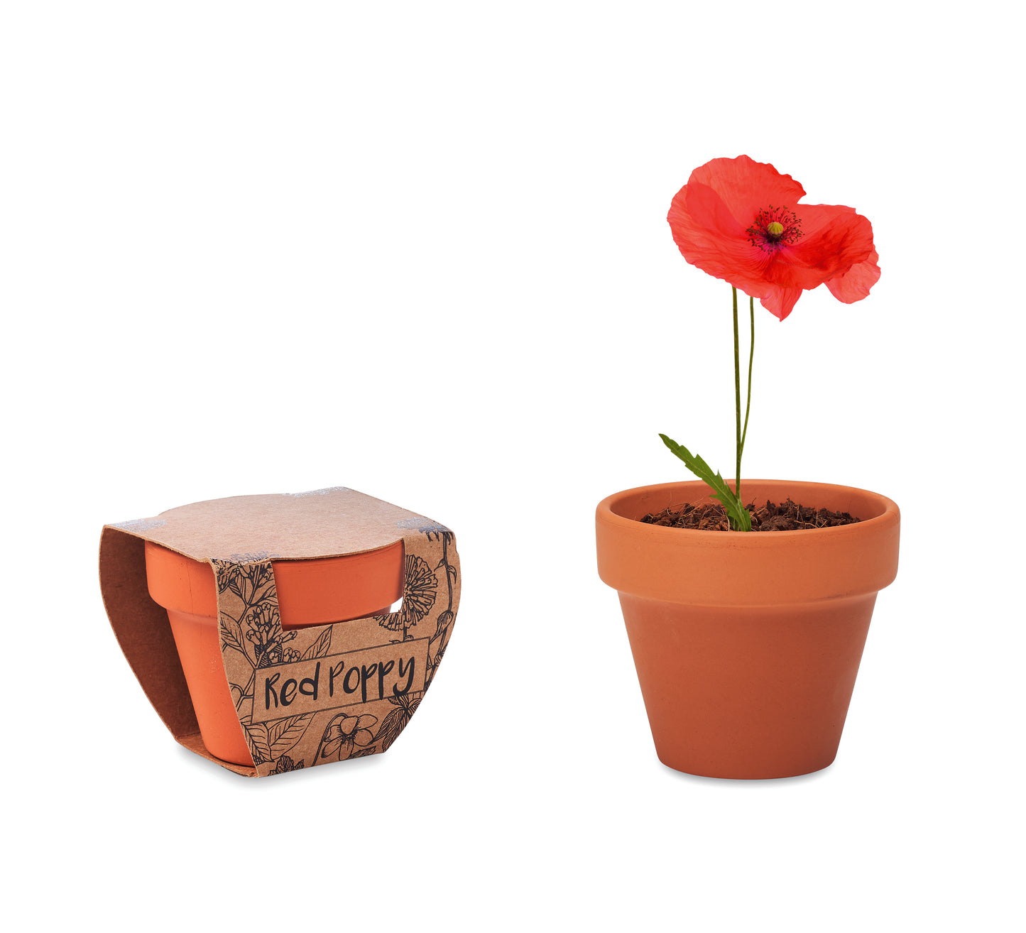 Vaso Em Terracota 'Papoila'
