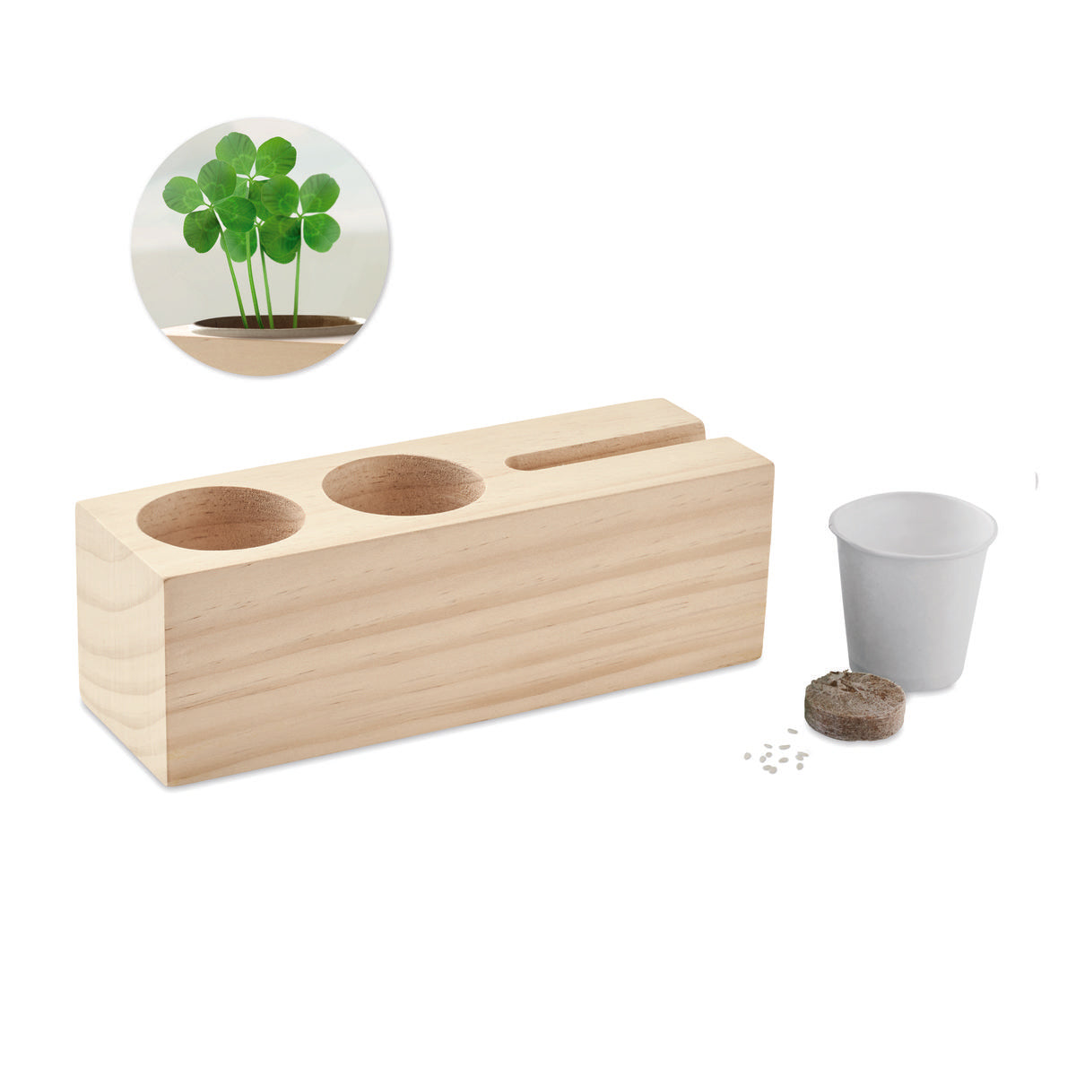 Suporte Mesa Com Kit Sementes
