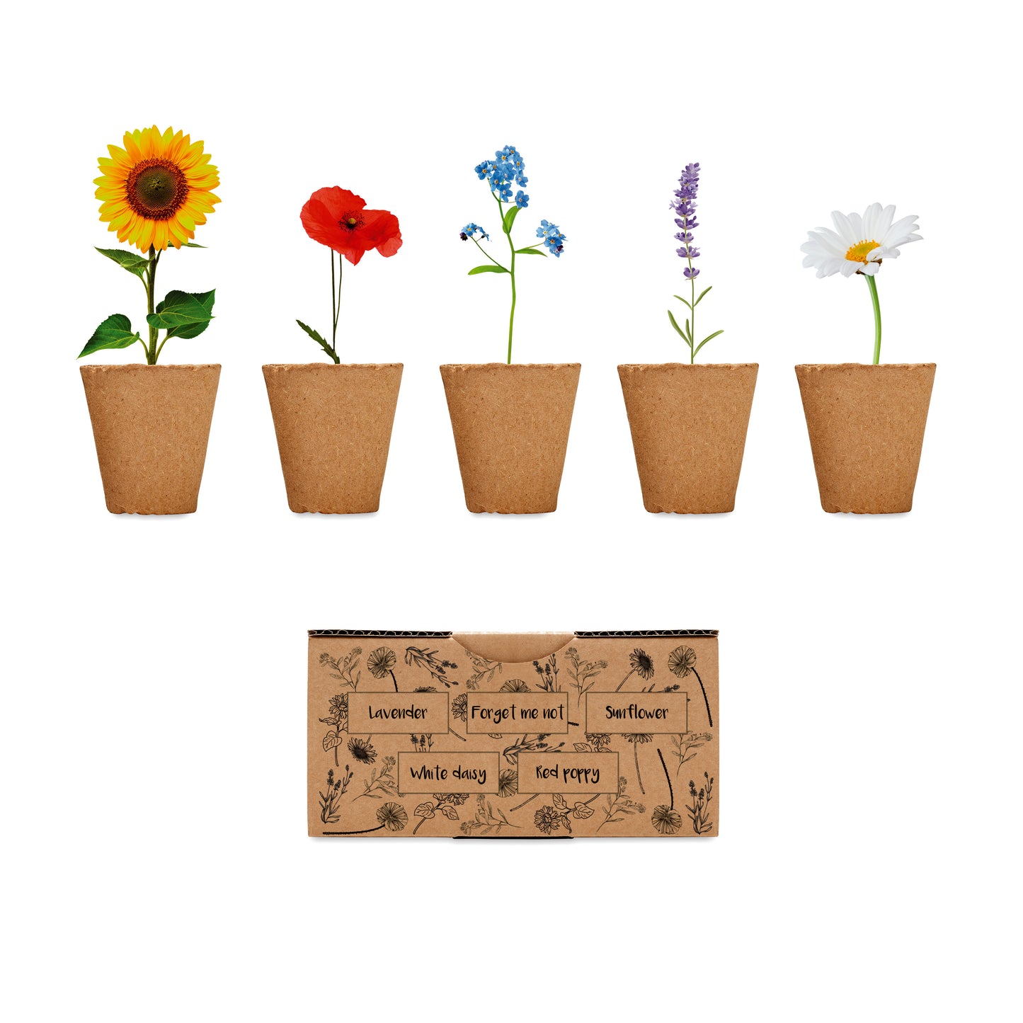 Kit De Cultivo De Flores