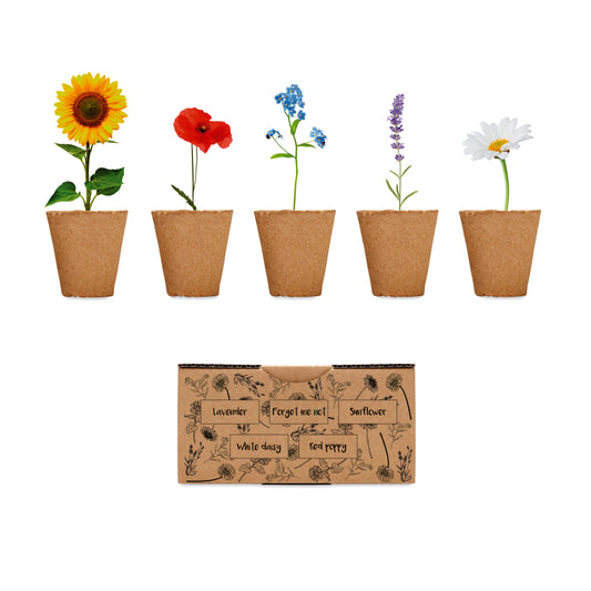 Kit De Cultivo De Flores