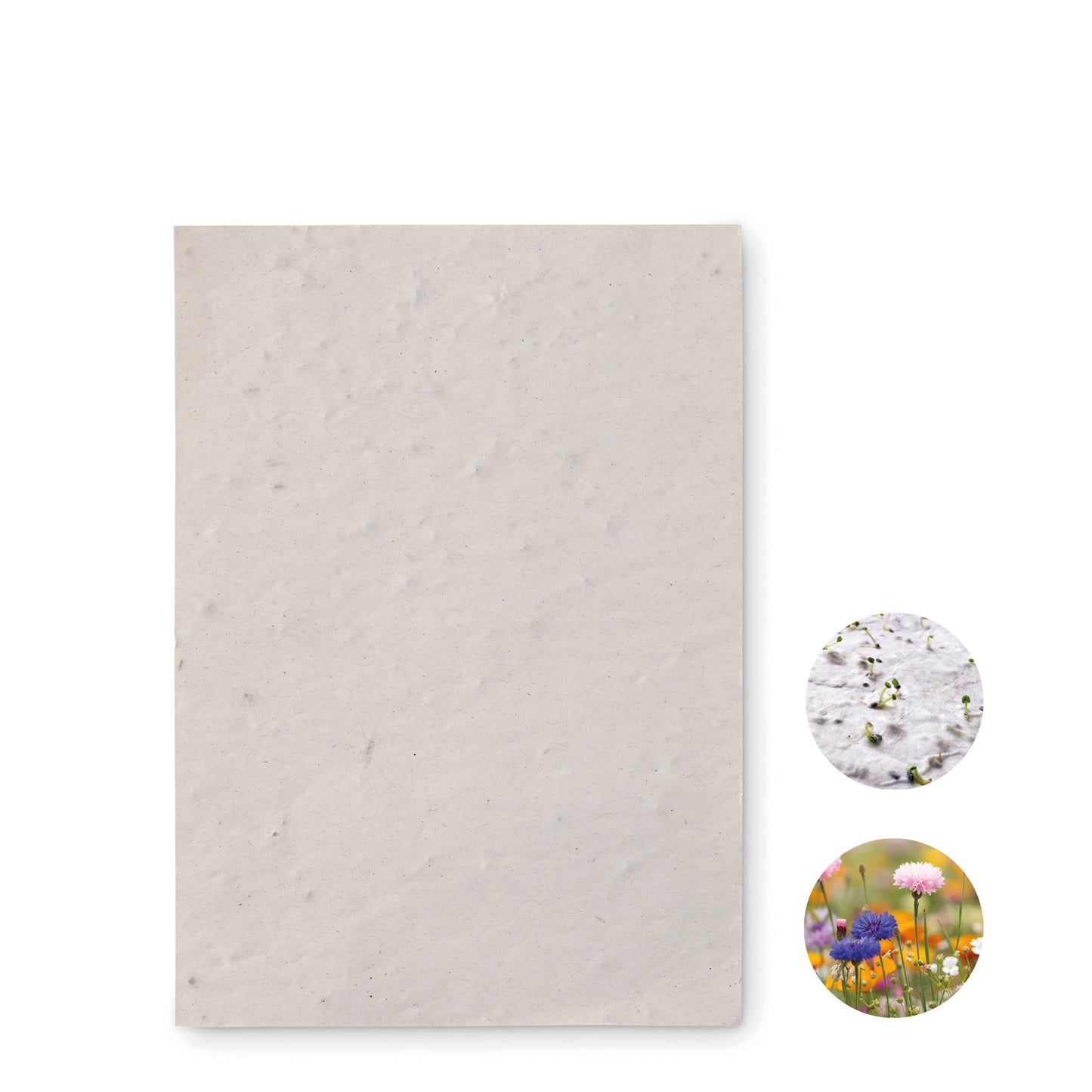 Papel Sementes De Flores A6