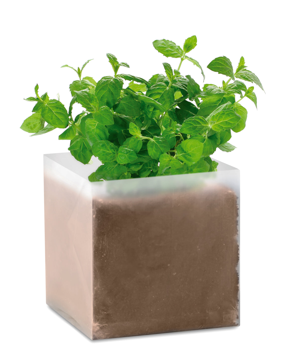 Produto Base